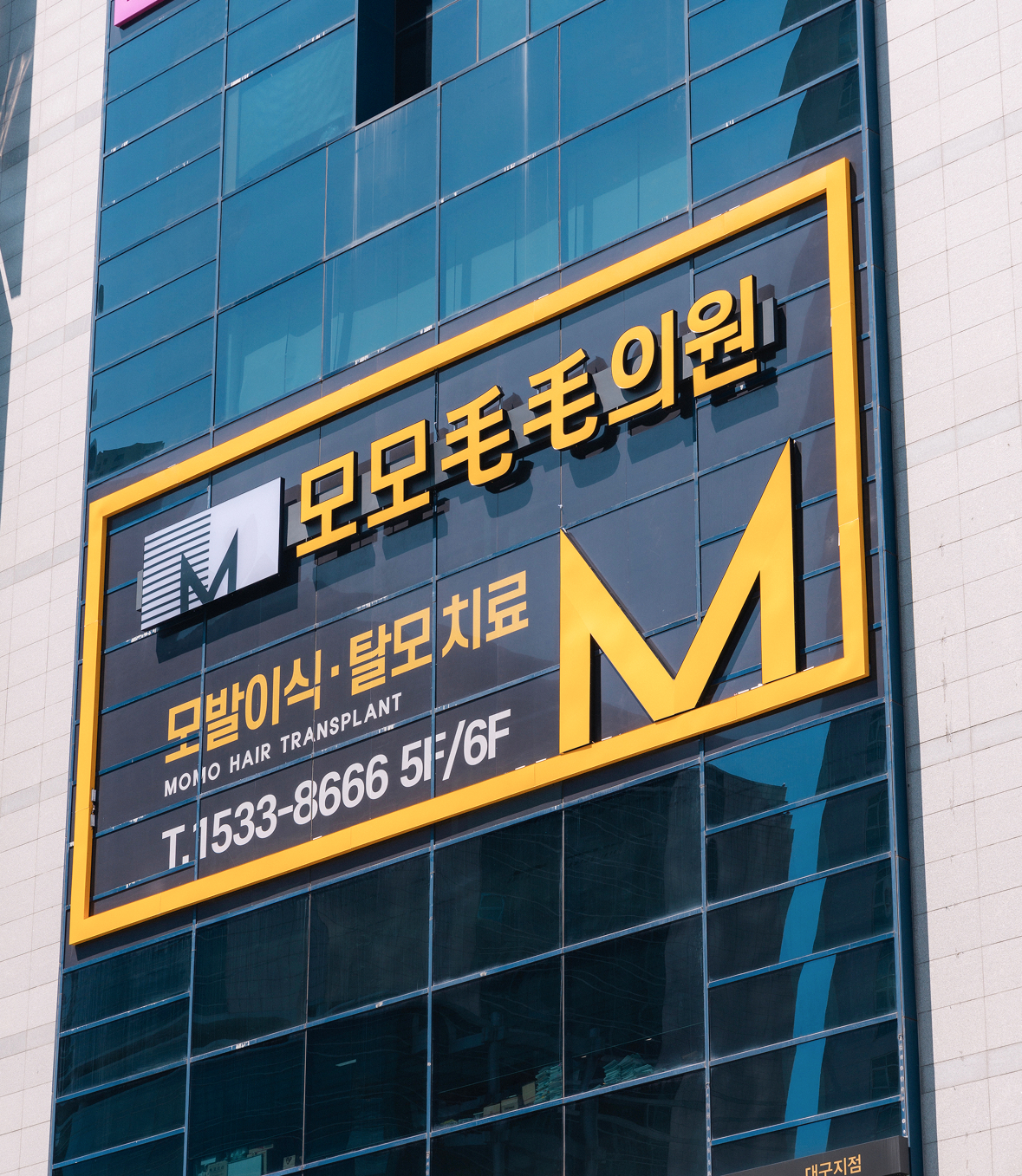 강동우 대표원장 모발이식 스토리
