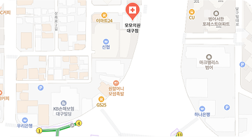 모모성형외과 의원 지도